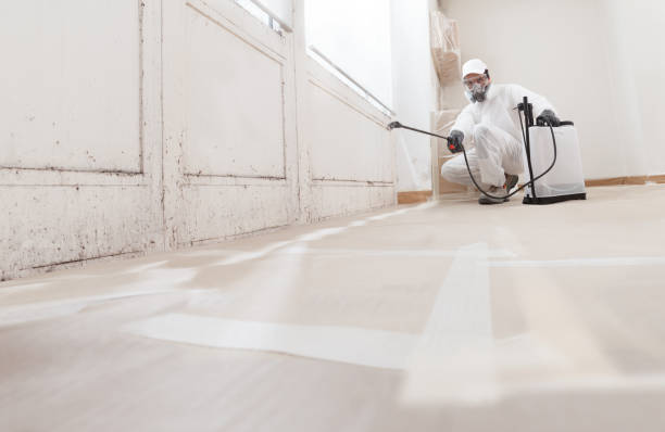 24/7 Emergency Attic Mold Removal experts in Old Bridge, NJ