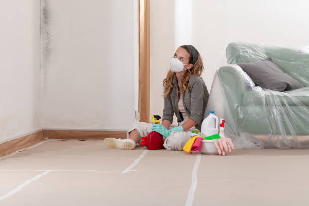 Reliable Attic Mold Removal contractor in Old Bridge, NJ by WQB Mold Removal