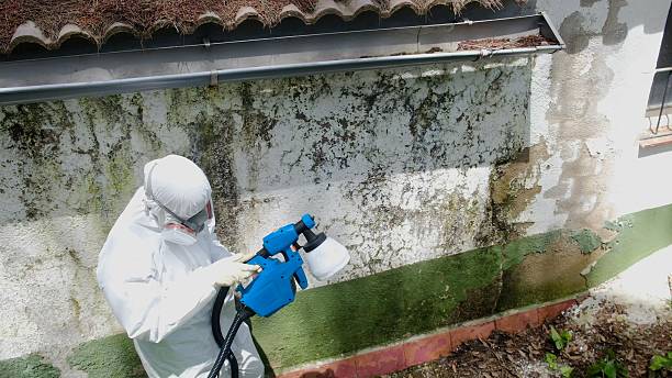 Top rated local Attic Mold Removal specialists in Old Bridge, NJ